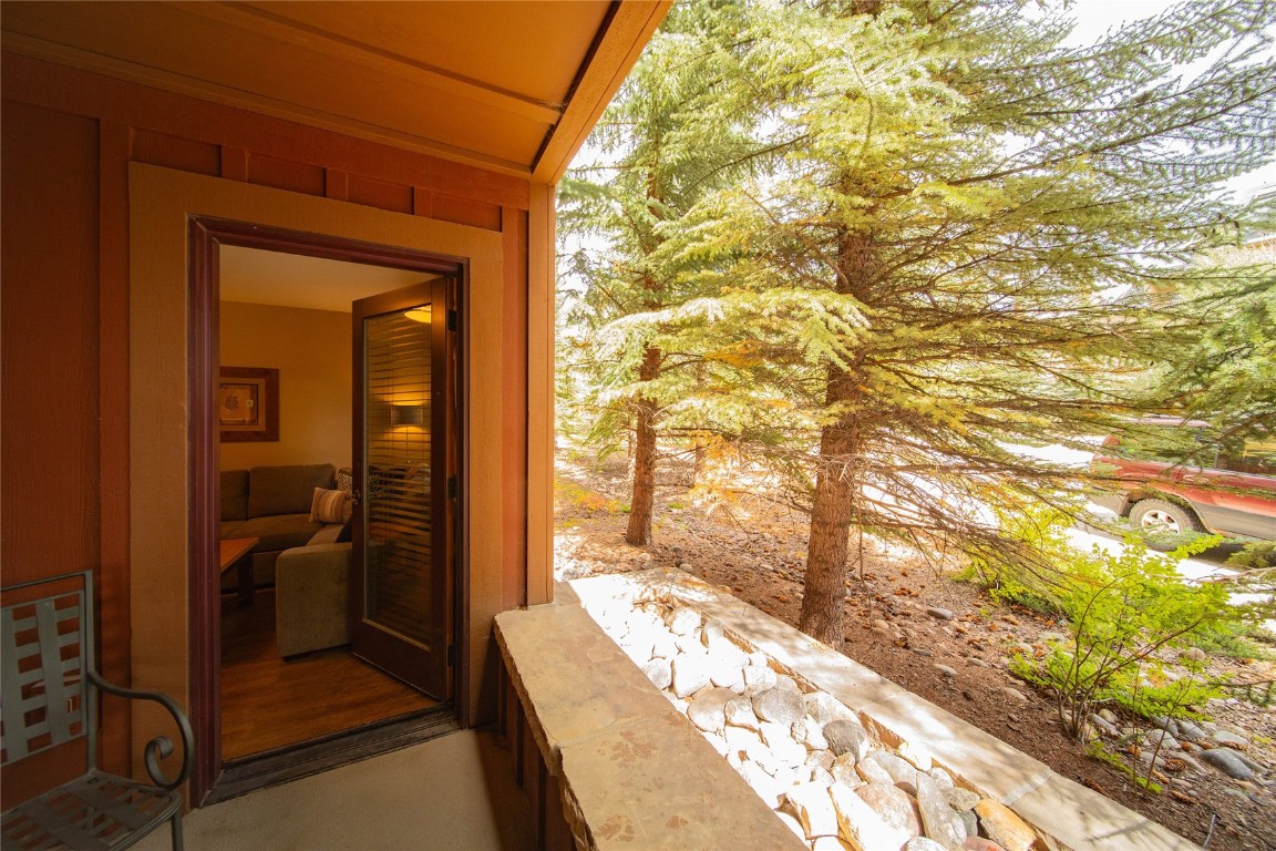 53 Hunki Dori Court Dillon CO 80435