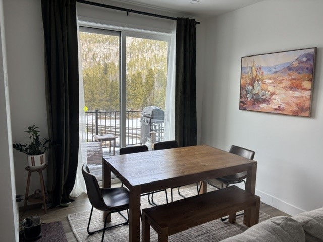 17 Bridle Alley Breckenridge CO 80424