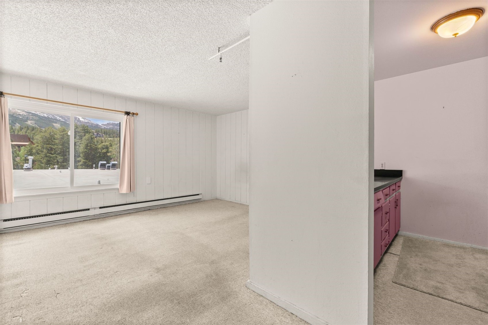 110 S Park Avenue Breckenridge CO 80424