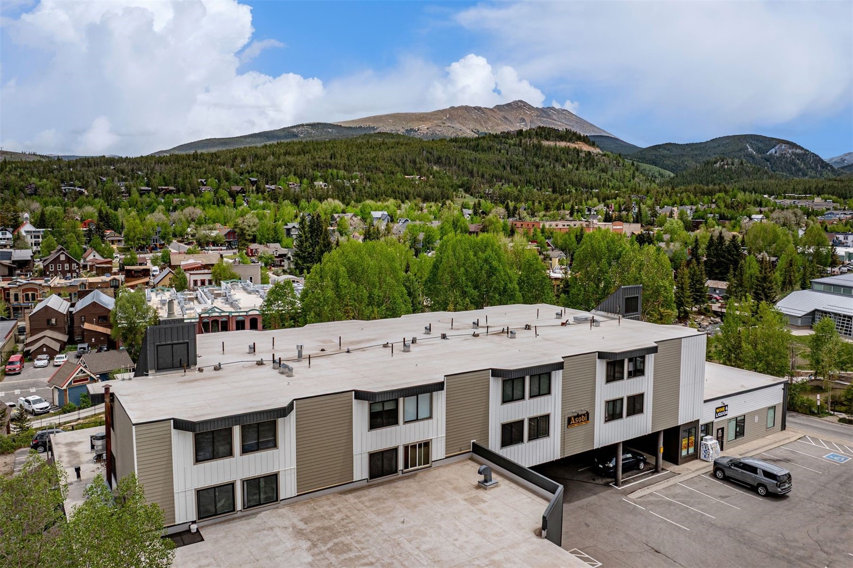 110 S Park Avenue Breckenridge CO 80424