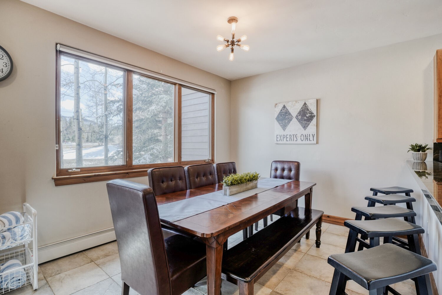 15 Chestnut Lane Breckenridge CO 80424
