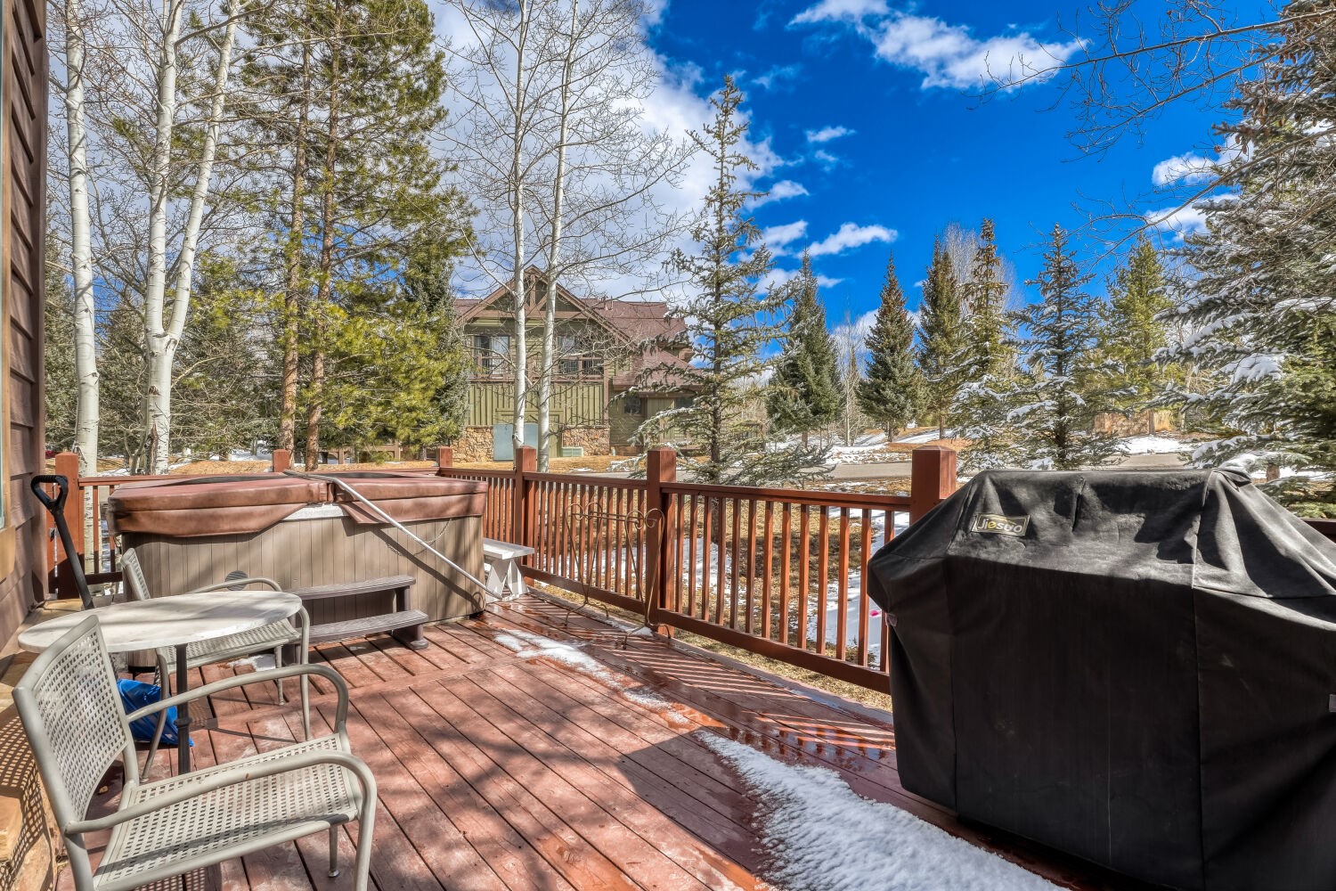 15 Chestnut Lane Breckenridge CO 80424