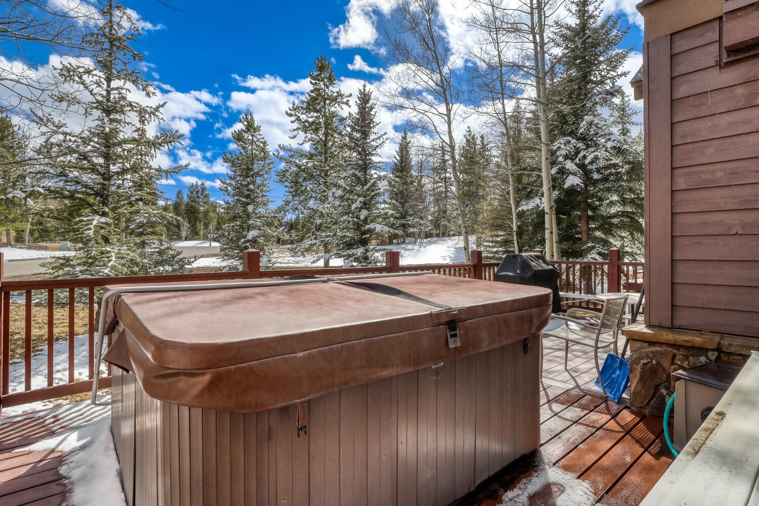 15 Chestnut Lane Breckenridge CO 80424