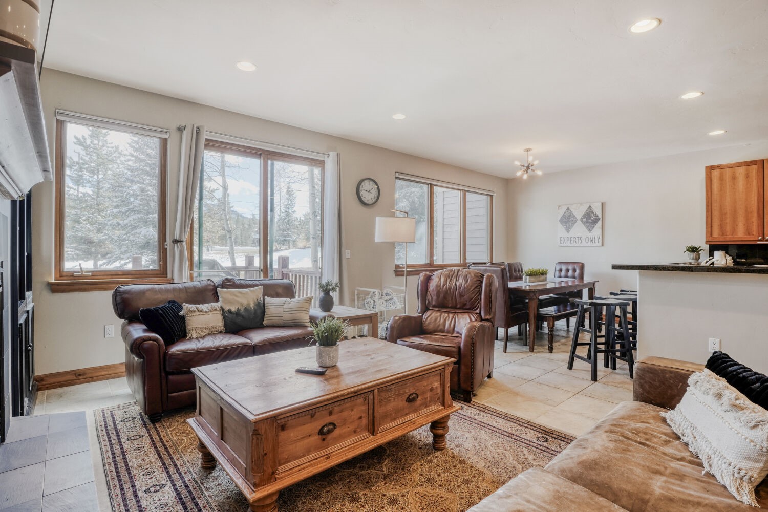 15 Chestnut Lane Breckenridge CO 80424
