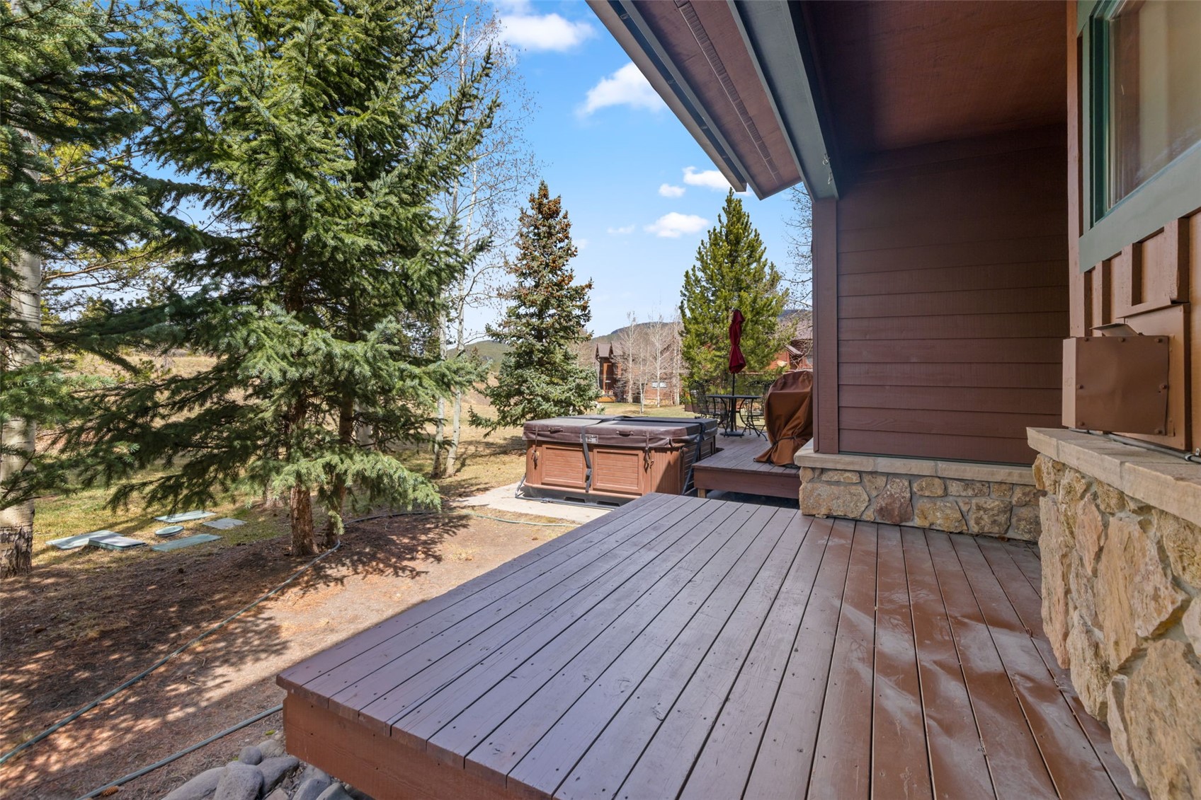 85 Chestnut Lane Breckenridge CO 80424