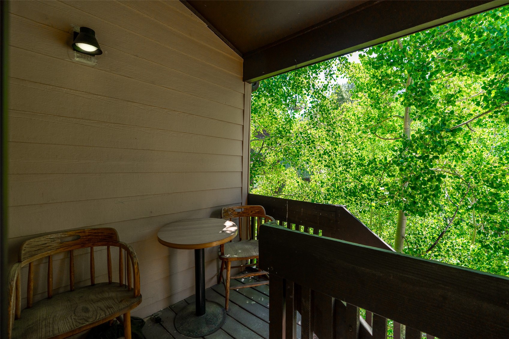 246 Broken Lance Drive Breckenridge CO 80424