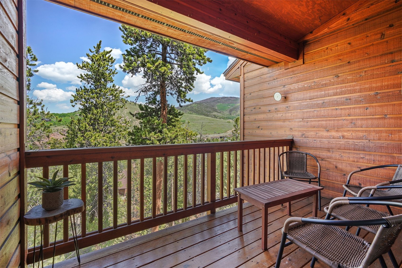 113 Lookout Ridge Drive Dillon CO 80435