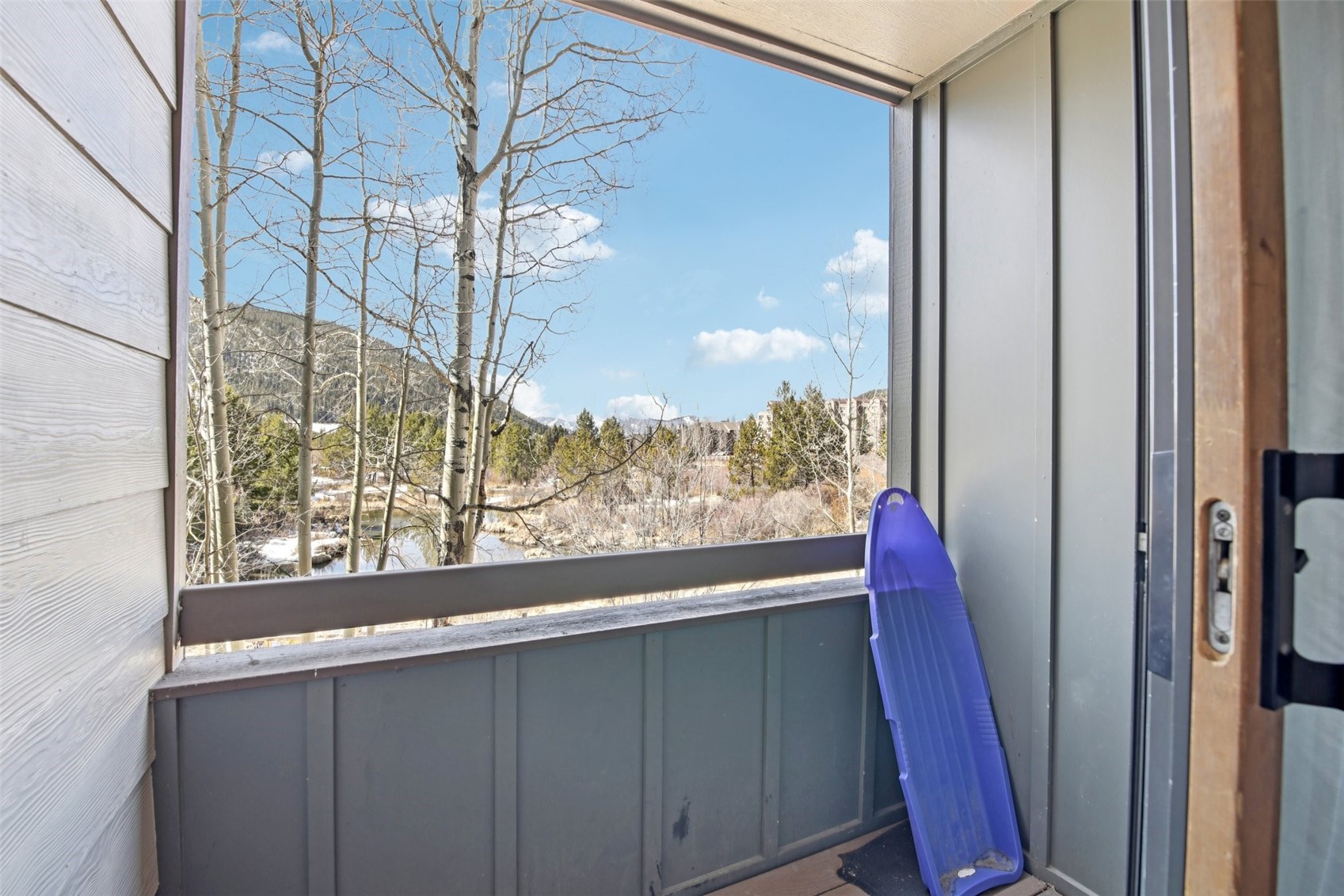 1653 Oro Grande Drive Keystone CO 80435