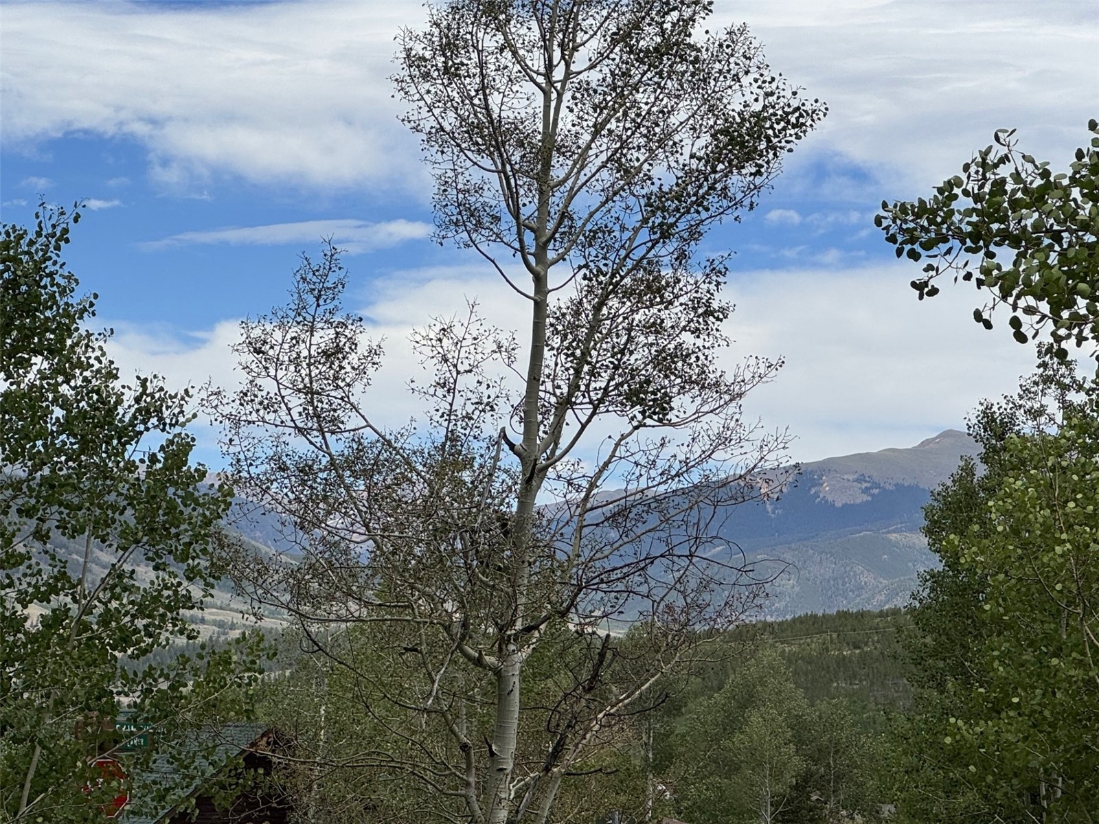 8010 Ryan Gulch Road Silverthorne CO 80498