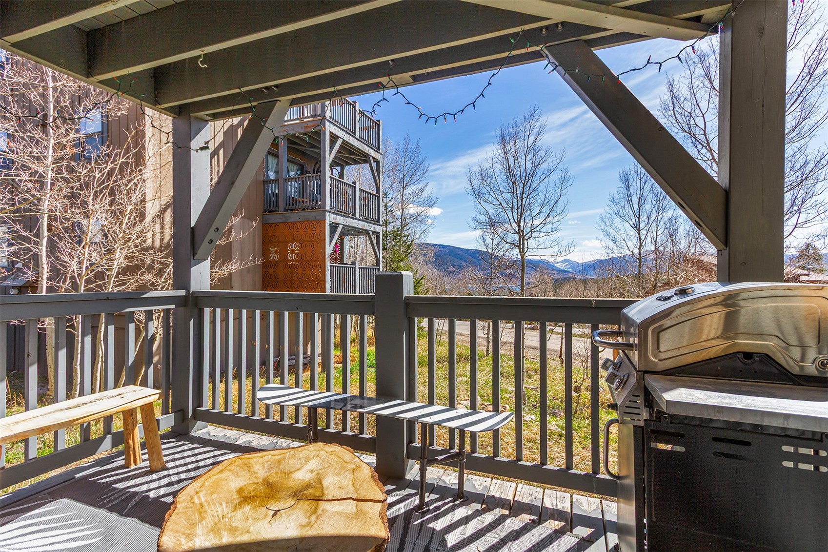 8010 Ryan Gulch Road Silverthorne CO 80498