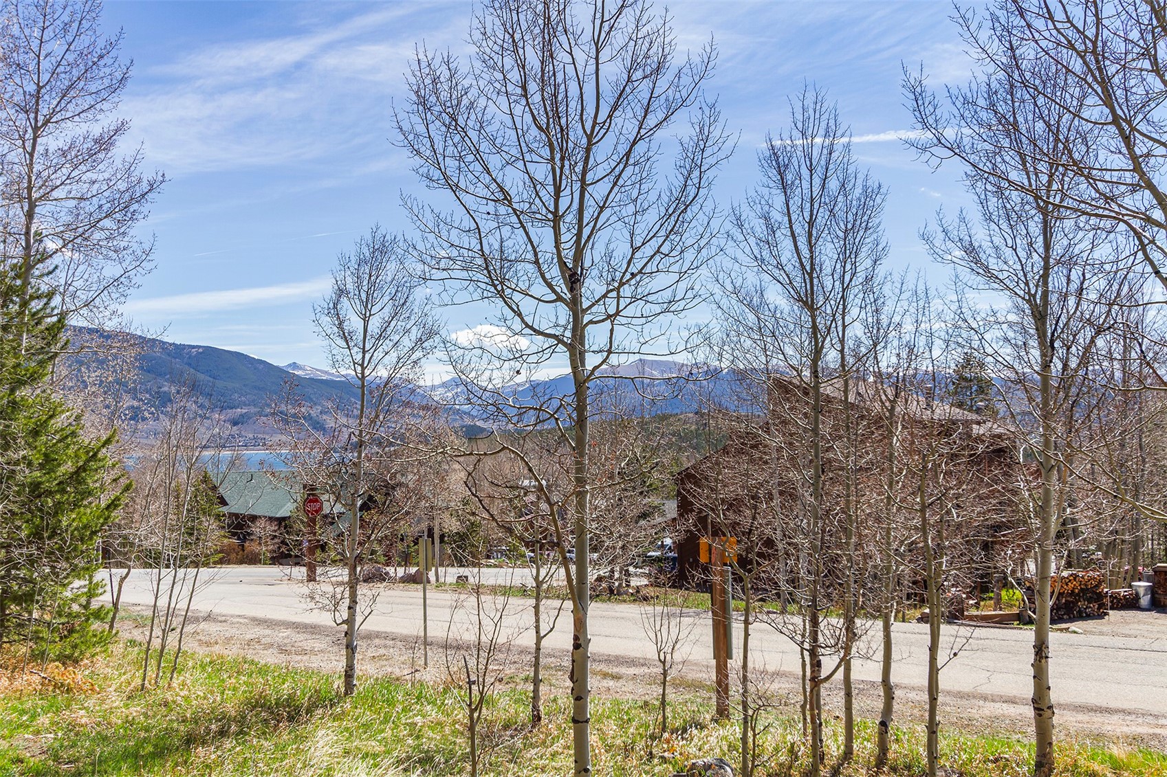 8010 Ryan Gulch Road Silverthorne CO 80498