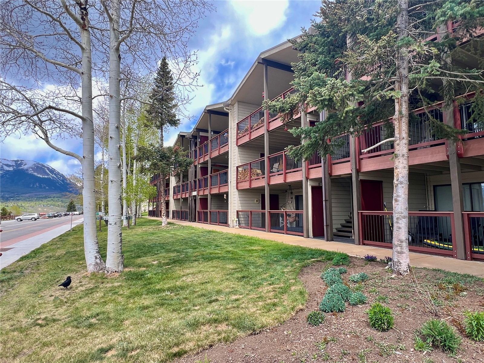 244 Lodgepole Street Dillon CO 80435