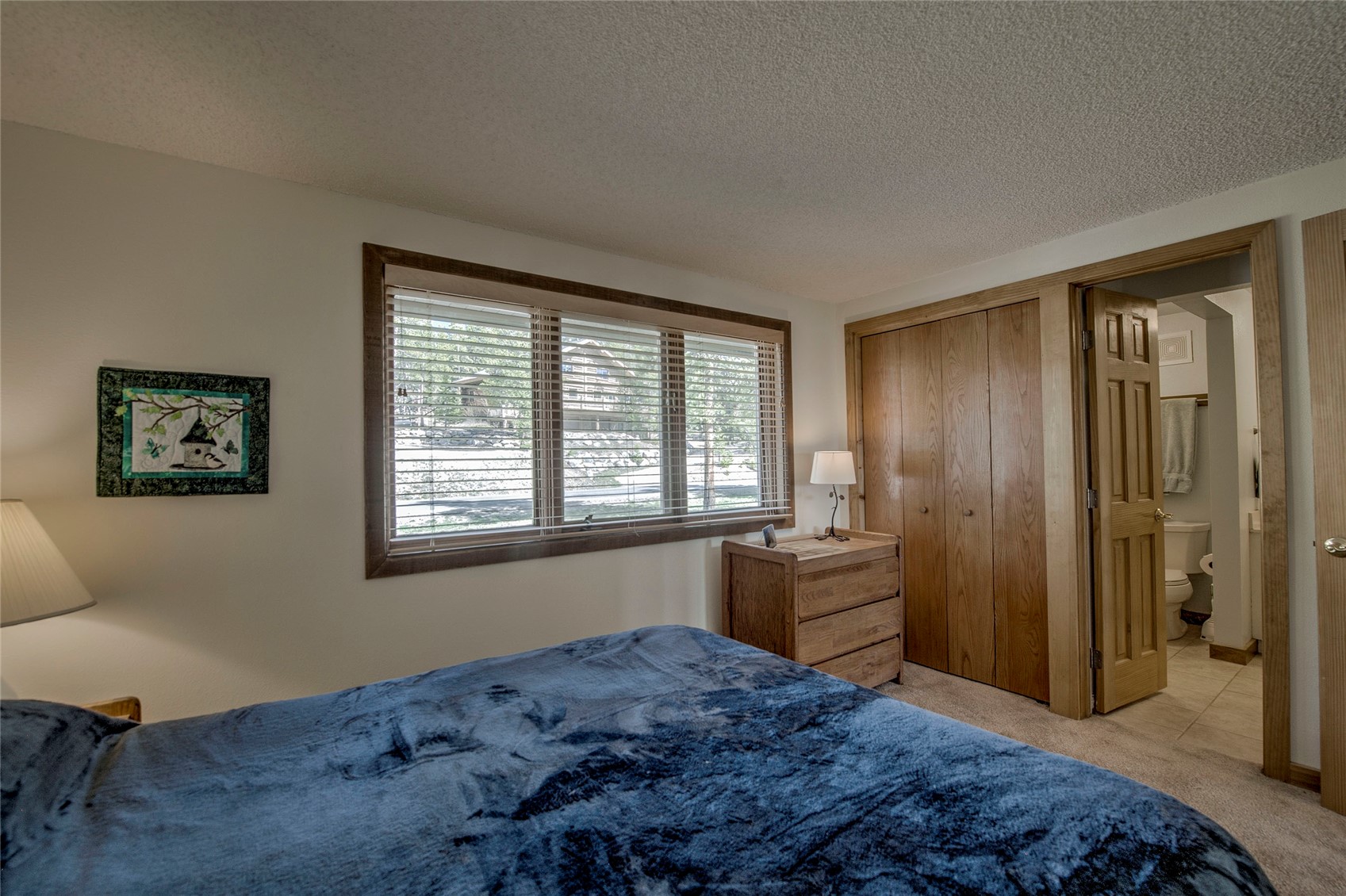 187 N Fuller Placer Road Breckenridge CO 80424
