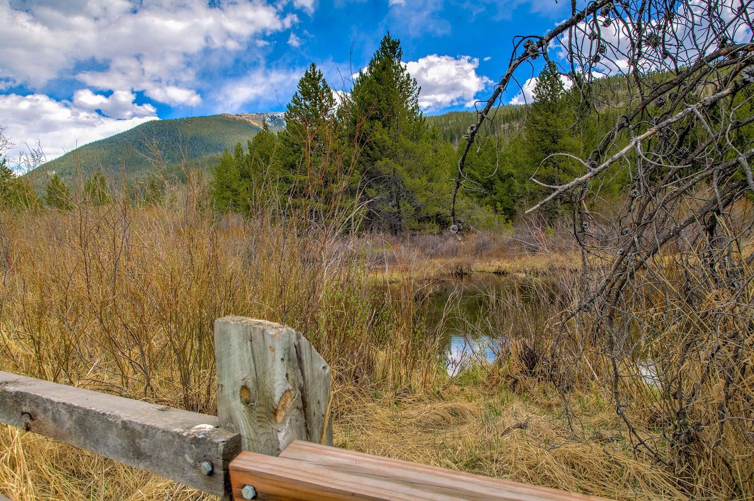 1653 Oro Grande Drive Keystone CO 80435