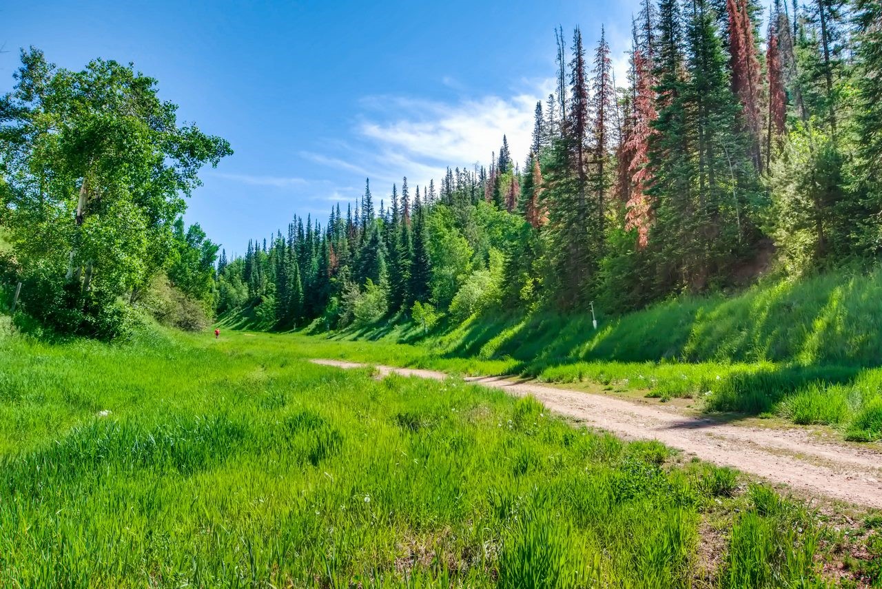 2275 Storm Meadows Drive S Steamboat Springs CO 80487