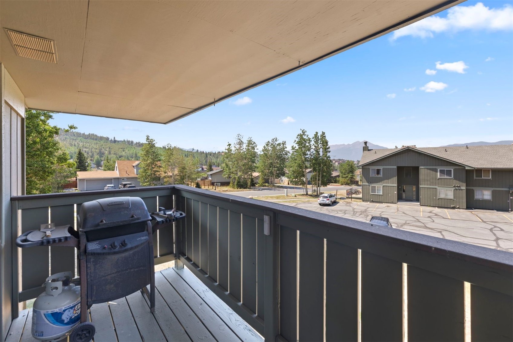 833 Straight Creek Drive Dillon CO 80435
