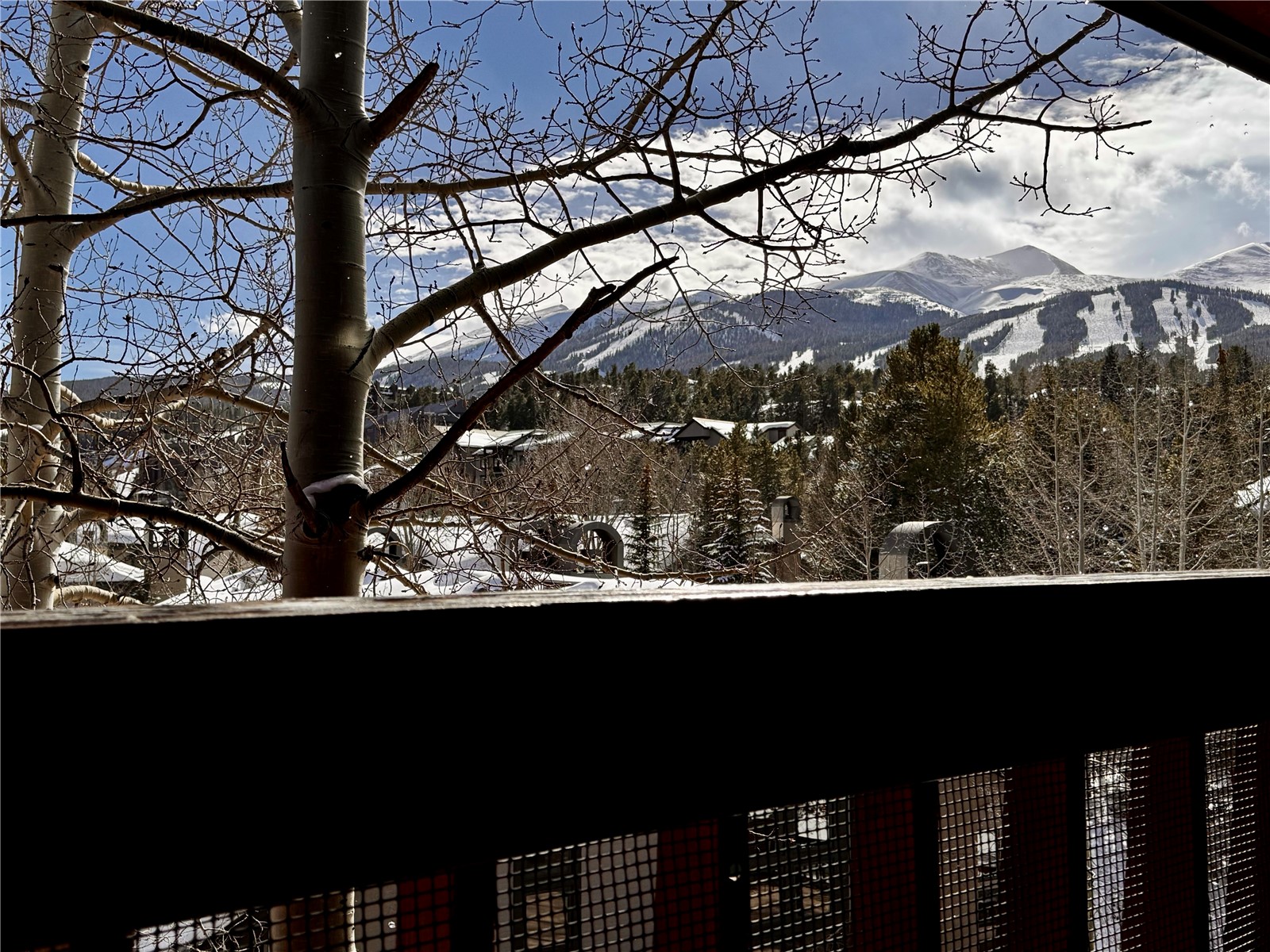 305 S Park Avenue Breckenridge CO 80424