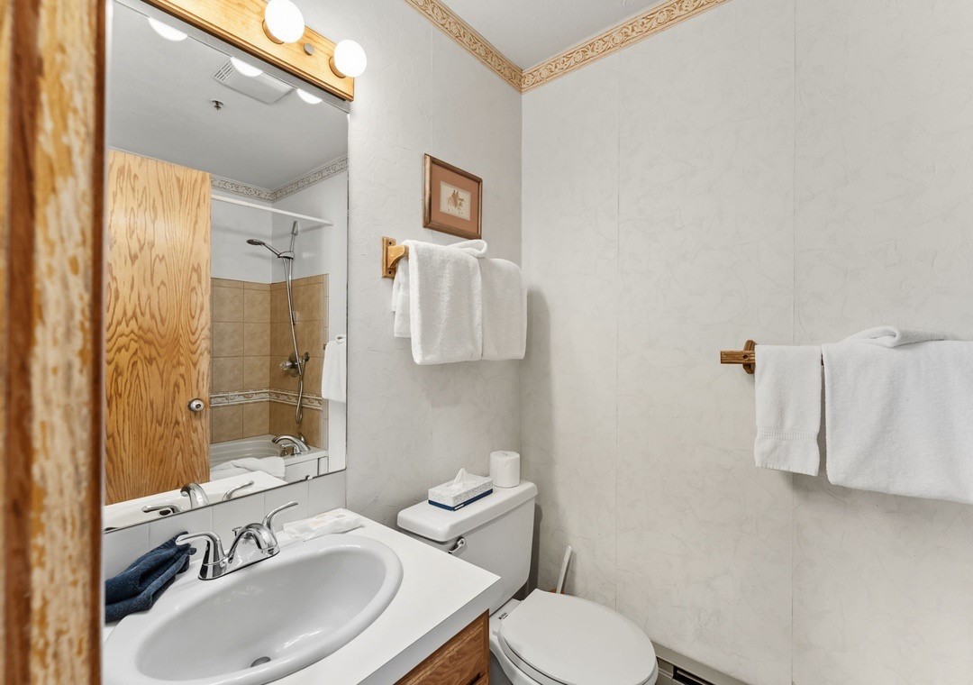 305 S Park Avenue Breckenridge CO 80424