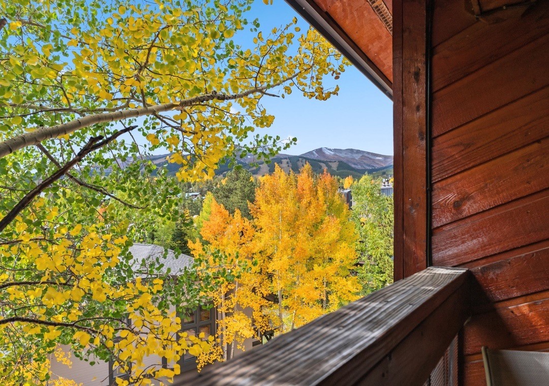 305 S Park Avenue Breckenridge CO 80424