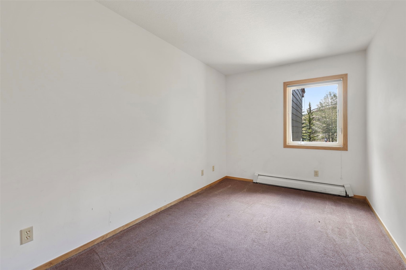 160 Fawn Court Silverthorne CO 80443