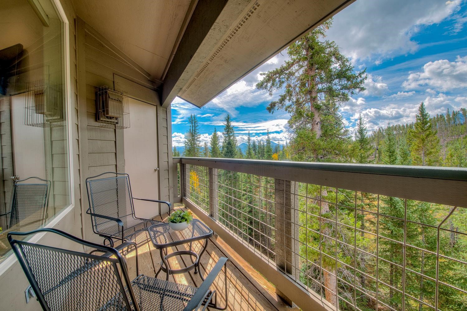 91399 Ryan Gulch Road Silverthorne CO 80498