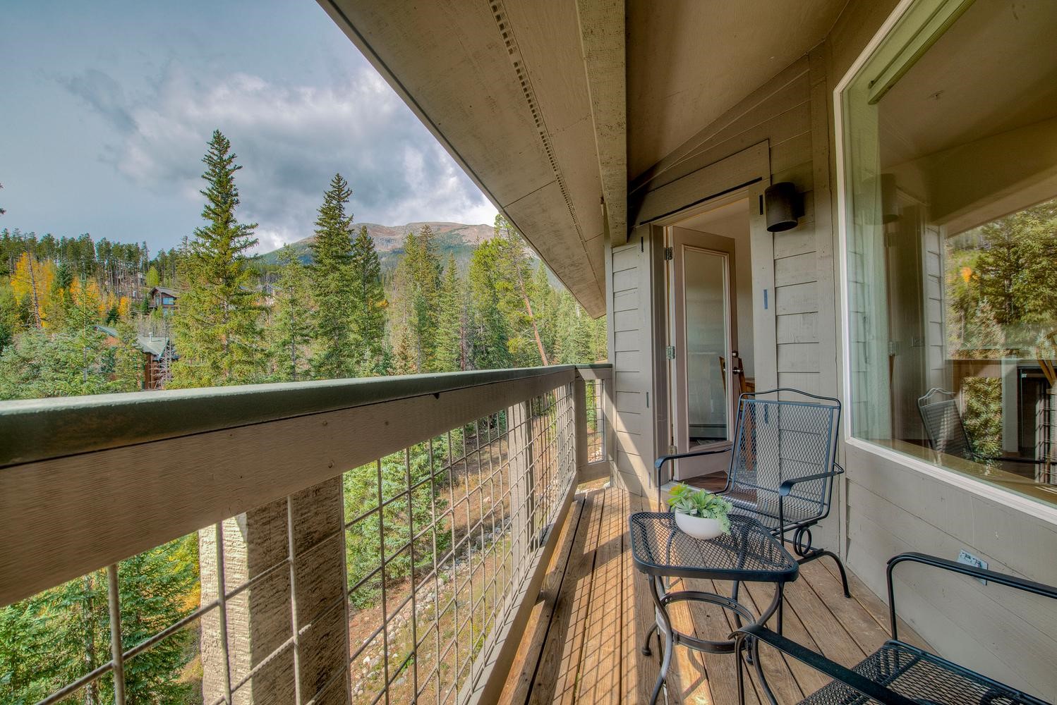 91399 Ryan Gulch Road Silverthorne CO 80498