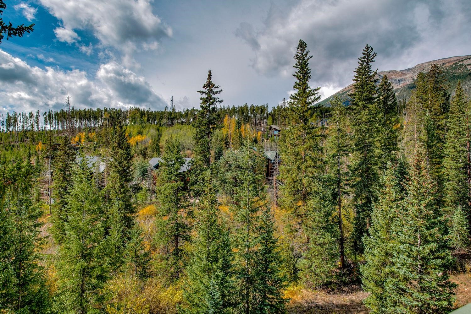 91399 Ryan Gulch Road Silverthorne CO 80498