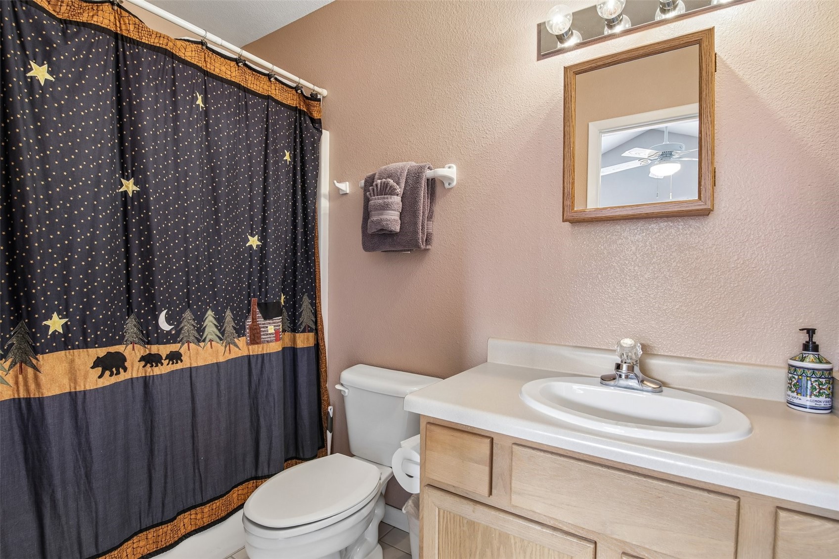 57 Salt Lick Place Silverthorne CO 80498