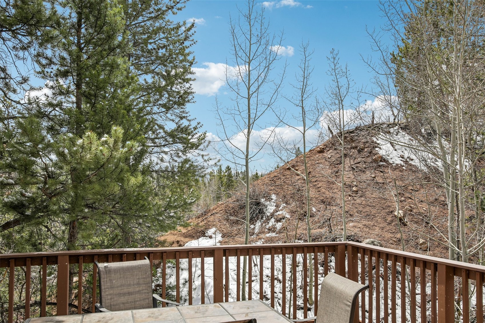 57 Salt Lick Place Silverthorne CO 80498