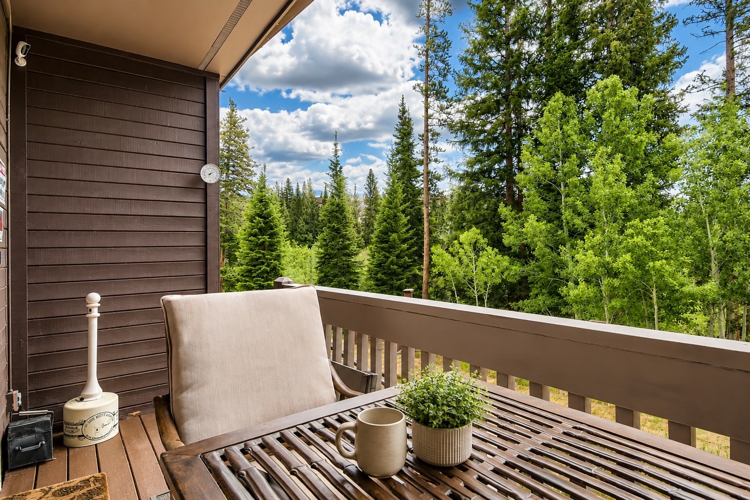10500 Ryan Gulch Road Silverthorne CO 80498