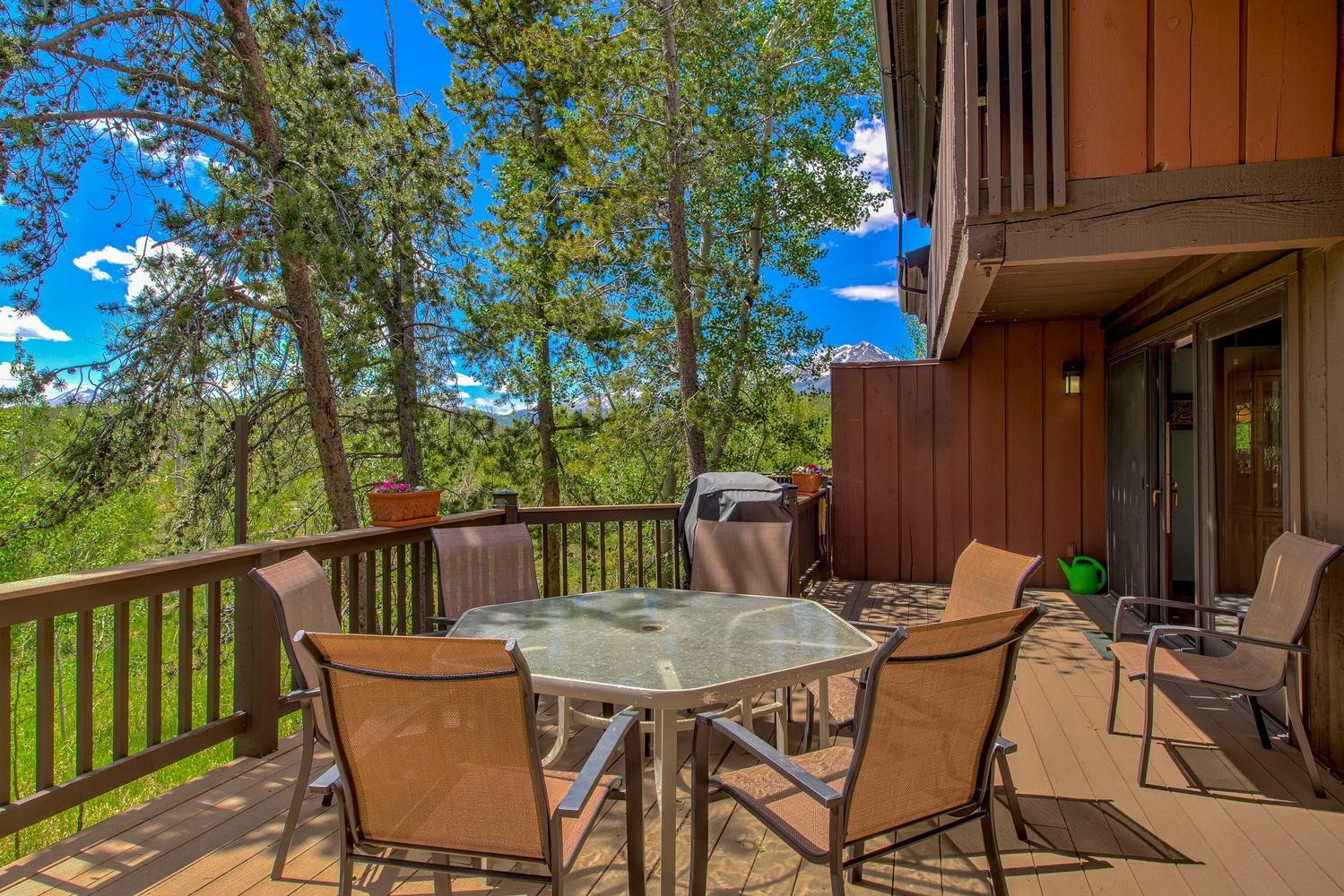 62 Salt Lick Circle Silverthorne CO 80498