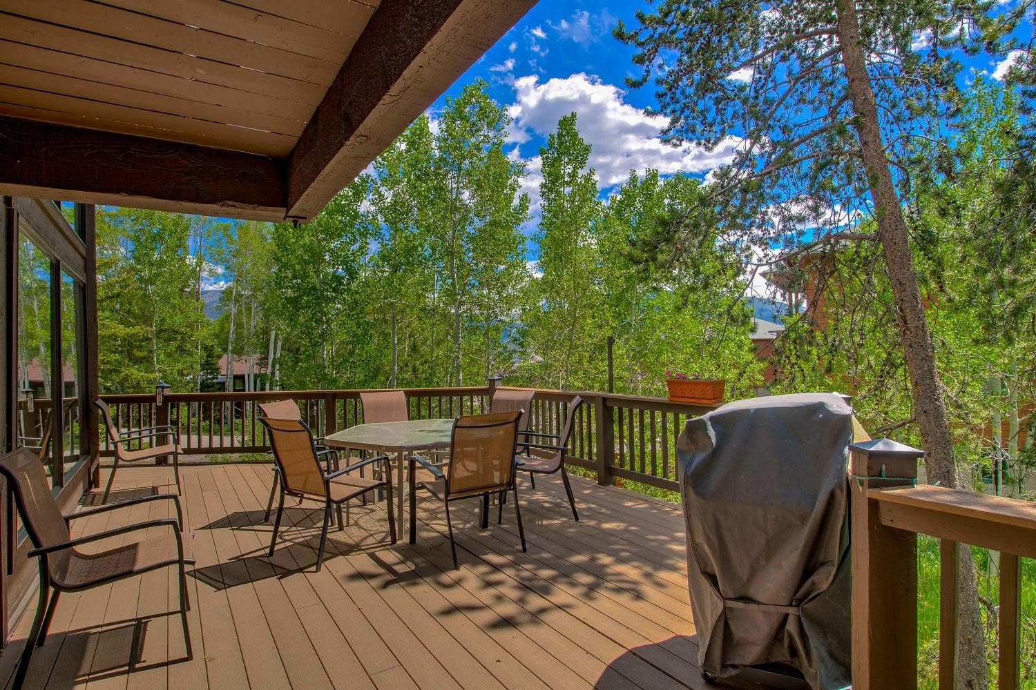 62 Salt Lick Circle Silverthorne CO 80498