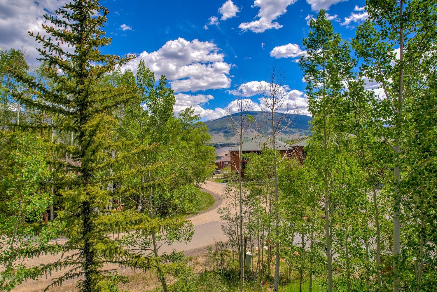 62 Salt Lick Circle Silverthorne CO 80498