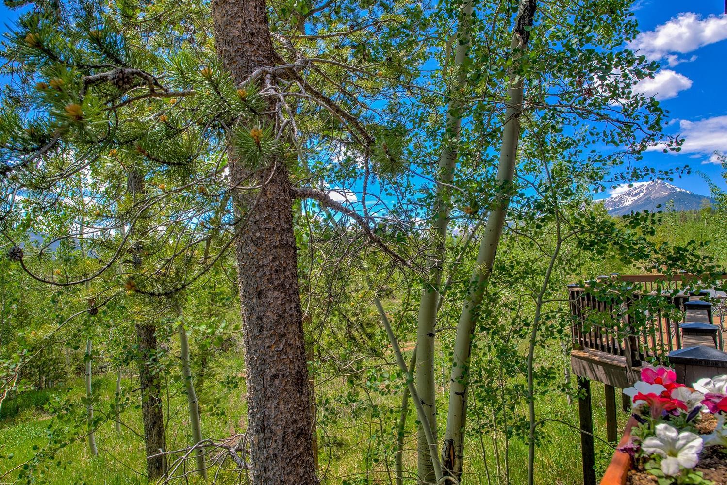 62 Salt Lick Circle Silverthorne CO 80498