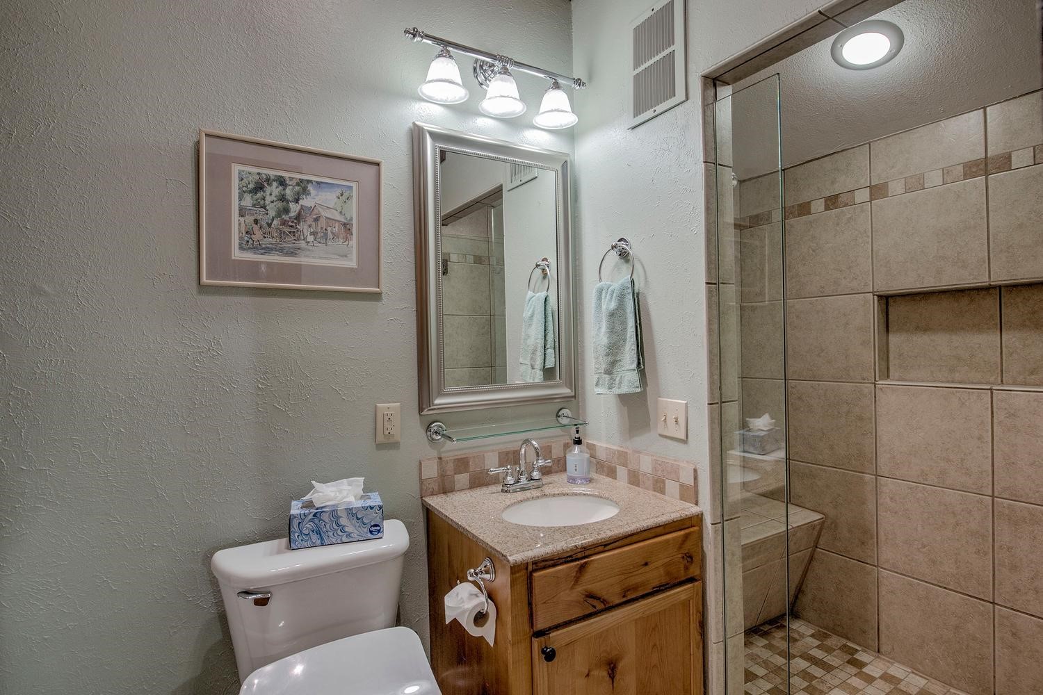 62 Salt Lick Circle Silverthorne CO 80498
