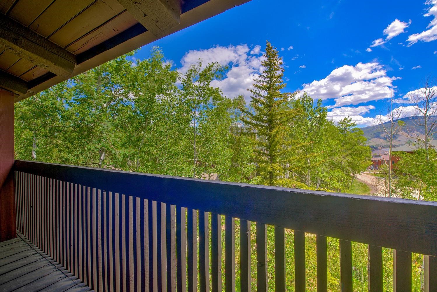 62 Salt Lick Circle Silverthorne CO 80498