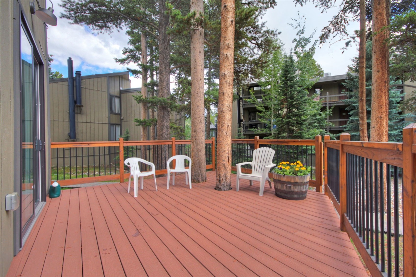 1173 Ski Hill Road Breckenridge CO 80424