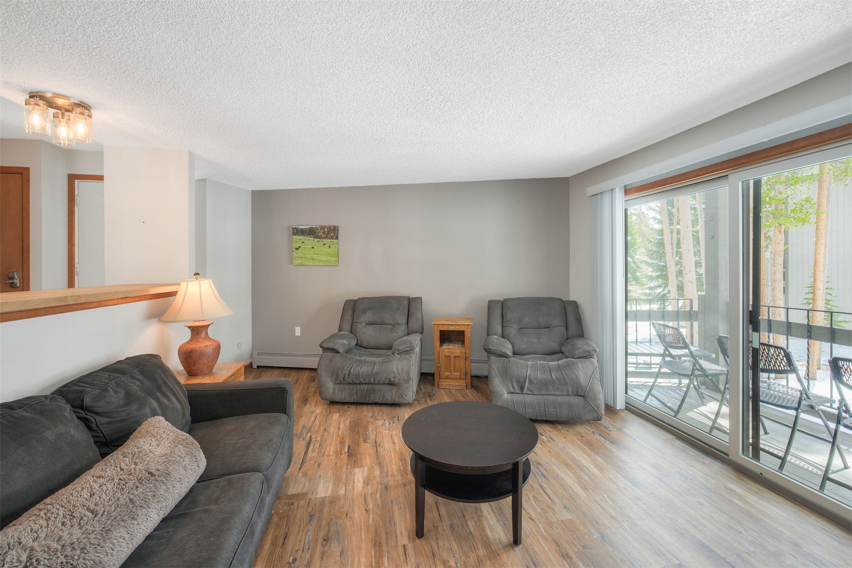 1173 Ski Hill Road Breckenridge CO 80424