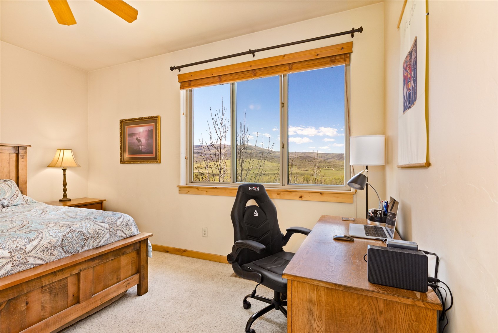 2339 Abbey Court Steamboat Springs CO 80487