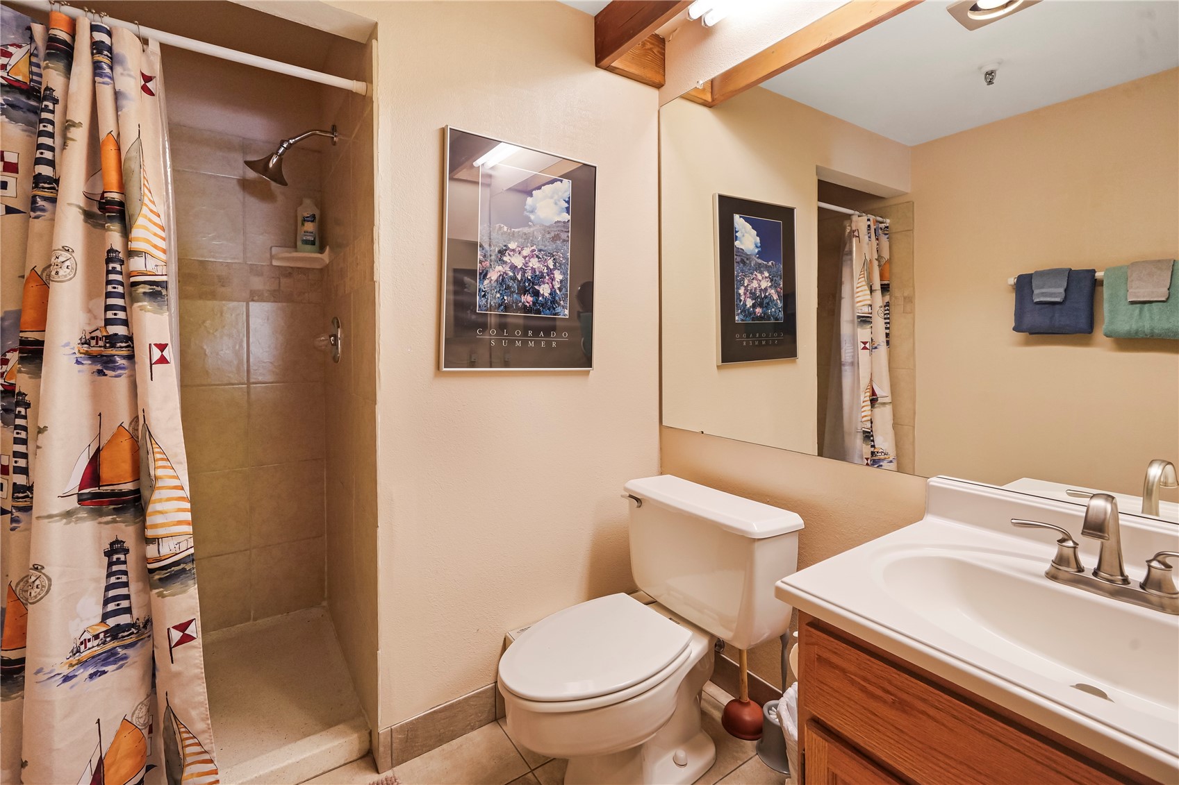 188 E La Bonte Street Dillon CO 80435