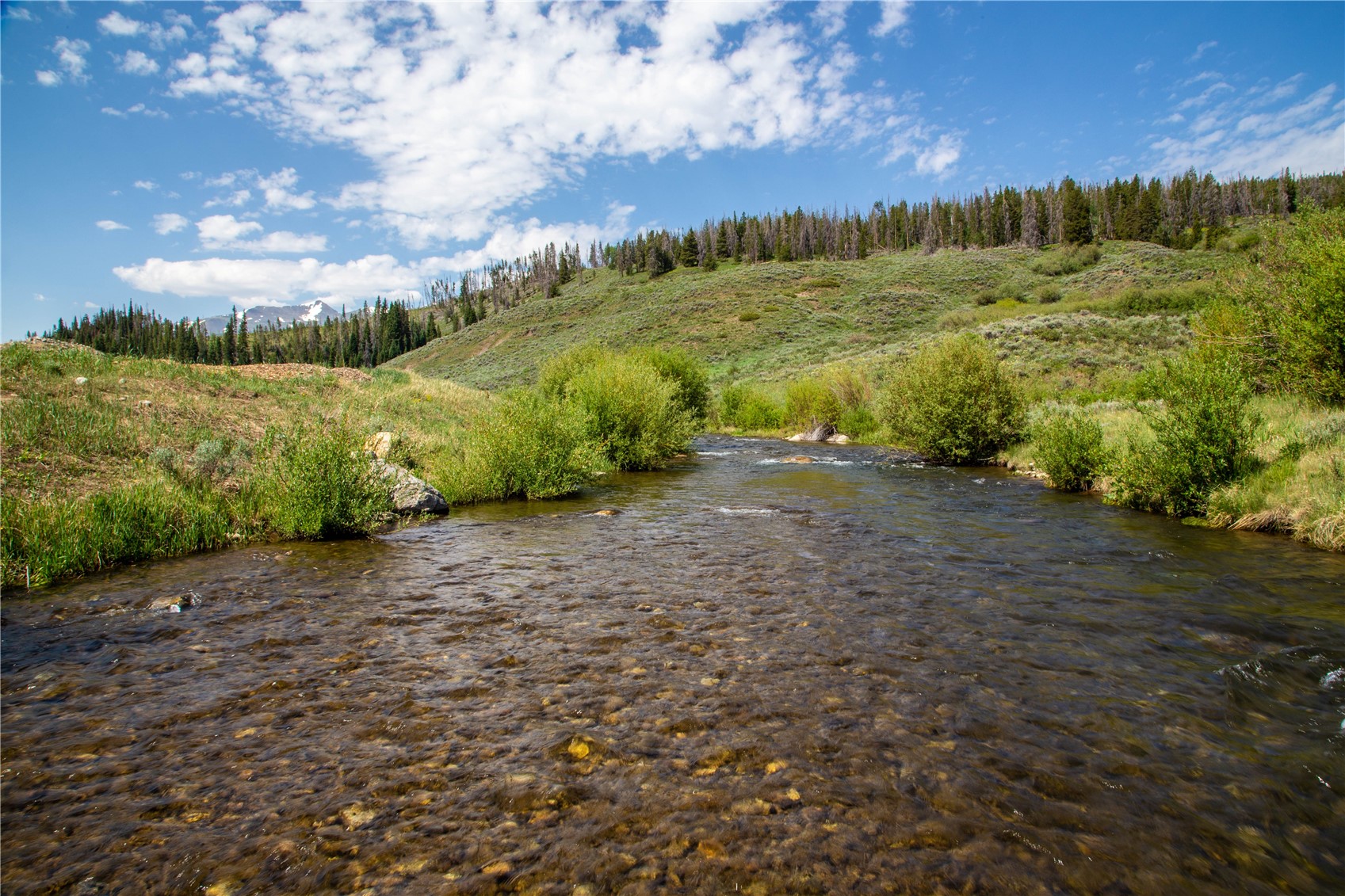 360 Stan Miller Breckenridge CO 80424