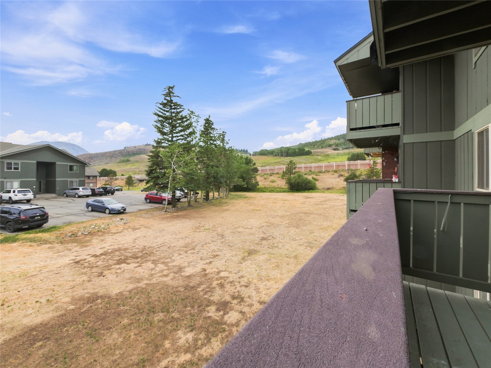 833 Straight Creek Drive Dillon CO 80435