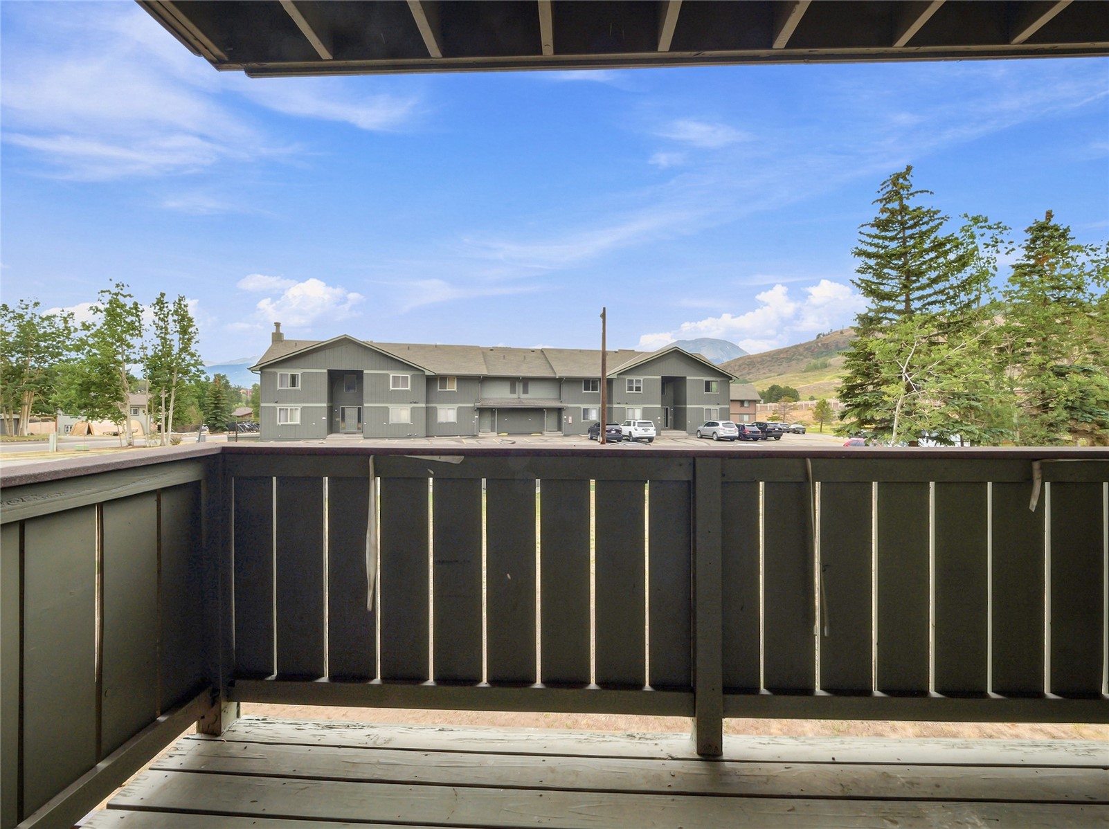 833 Straight Creek Drive Dillon CO 80435