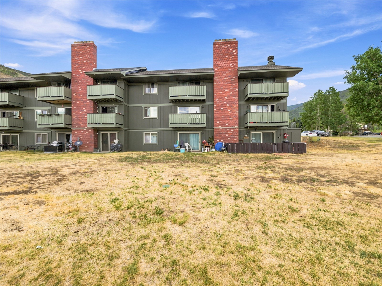 833 Straight Creek Drive Dillon CO 80435