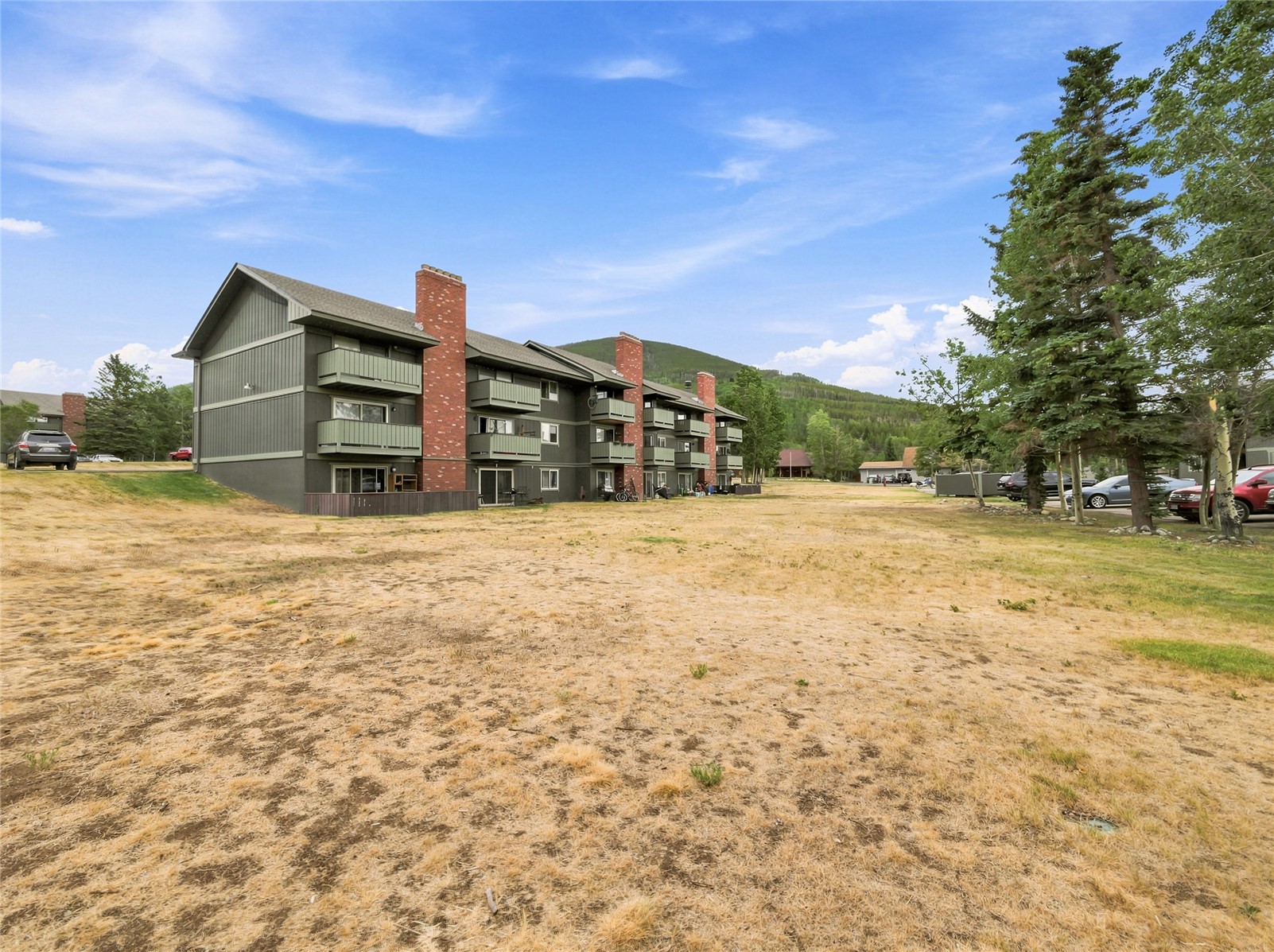 833 Straight Creek Drive Dillon CO 80435