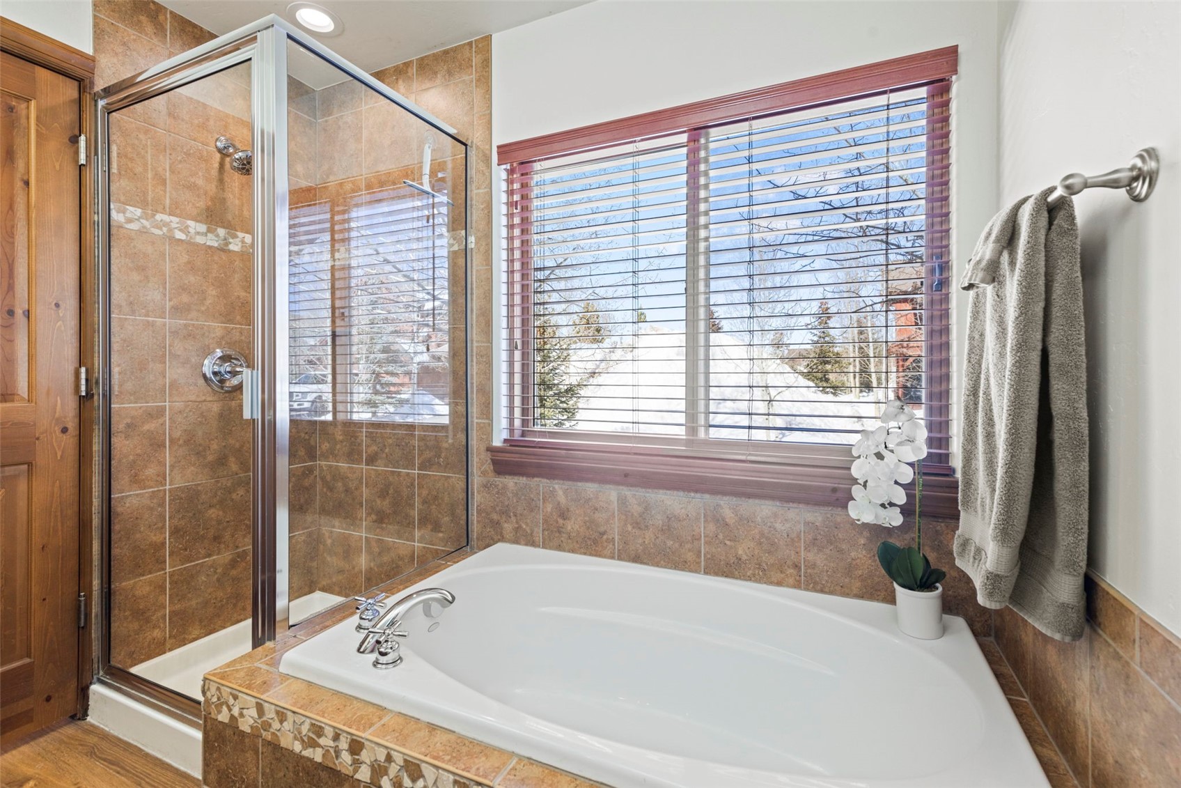 17 Linden Lane Breckenridge CO 80424