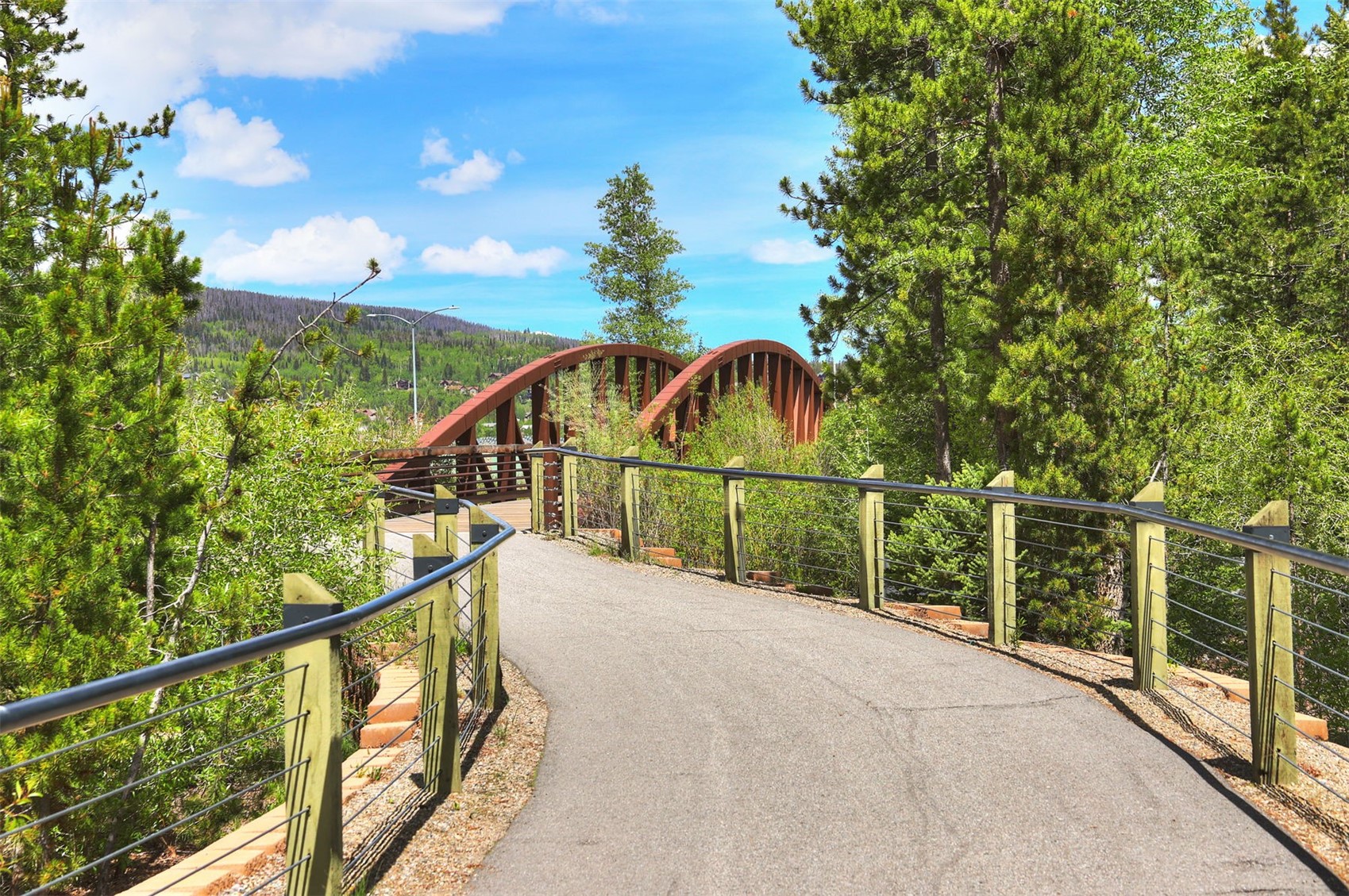 52 Fish Hawk Way Silverthorne CO 80498