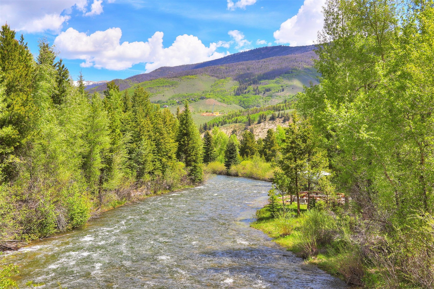 52 Fish Hawk Way Silverthorne CO 80498