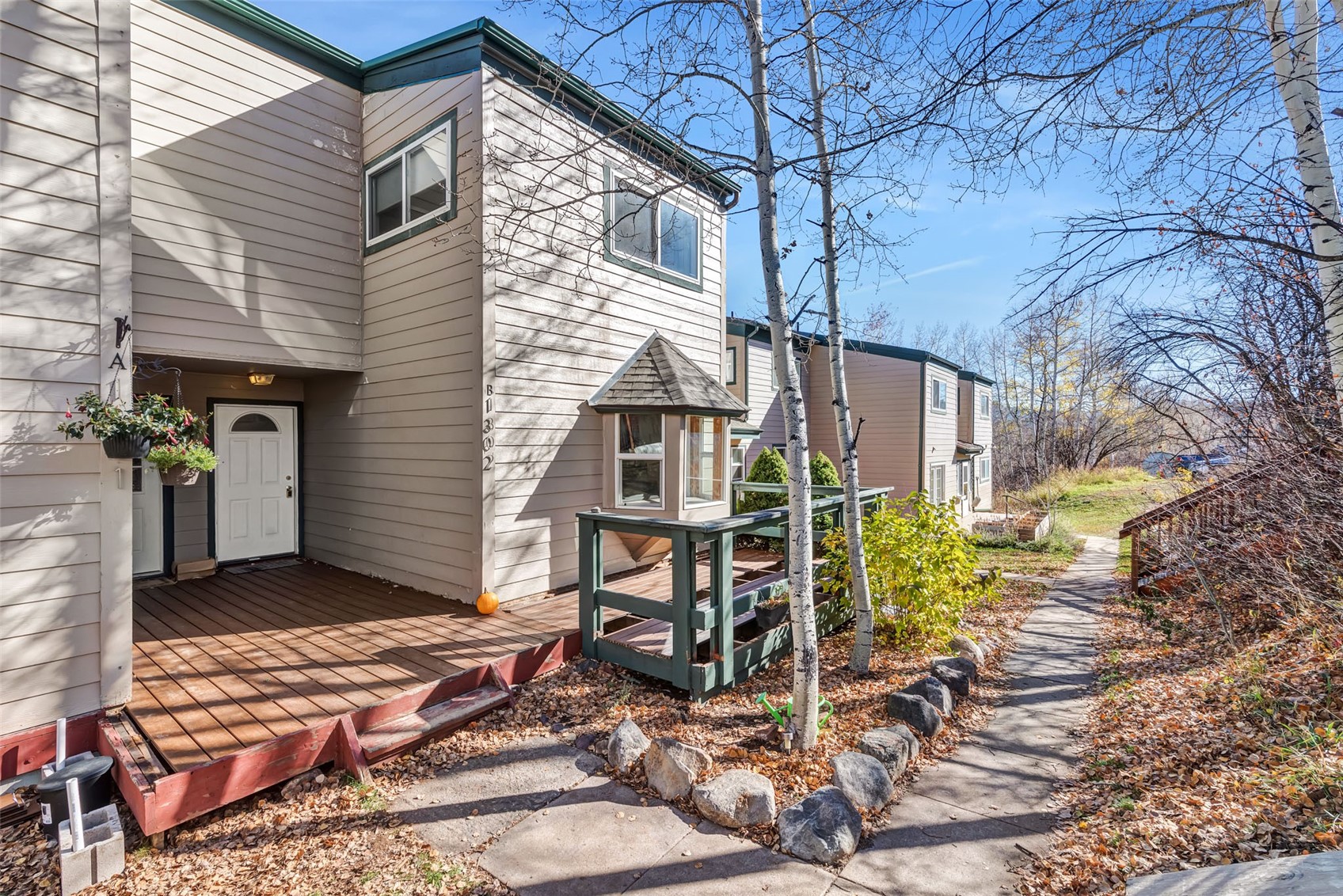 23035 Schussmark Trail Oak Creek CO 80467
