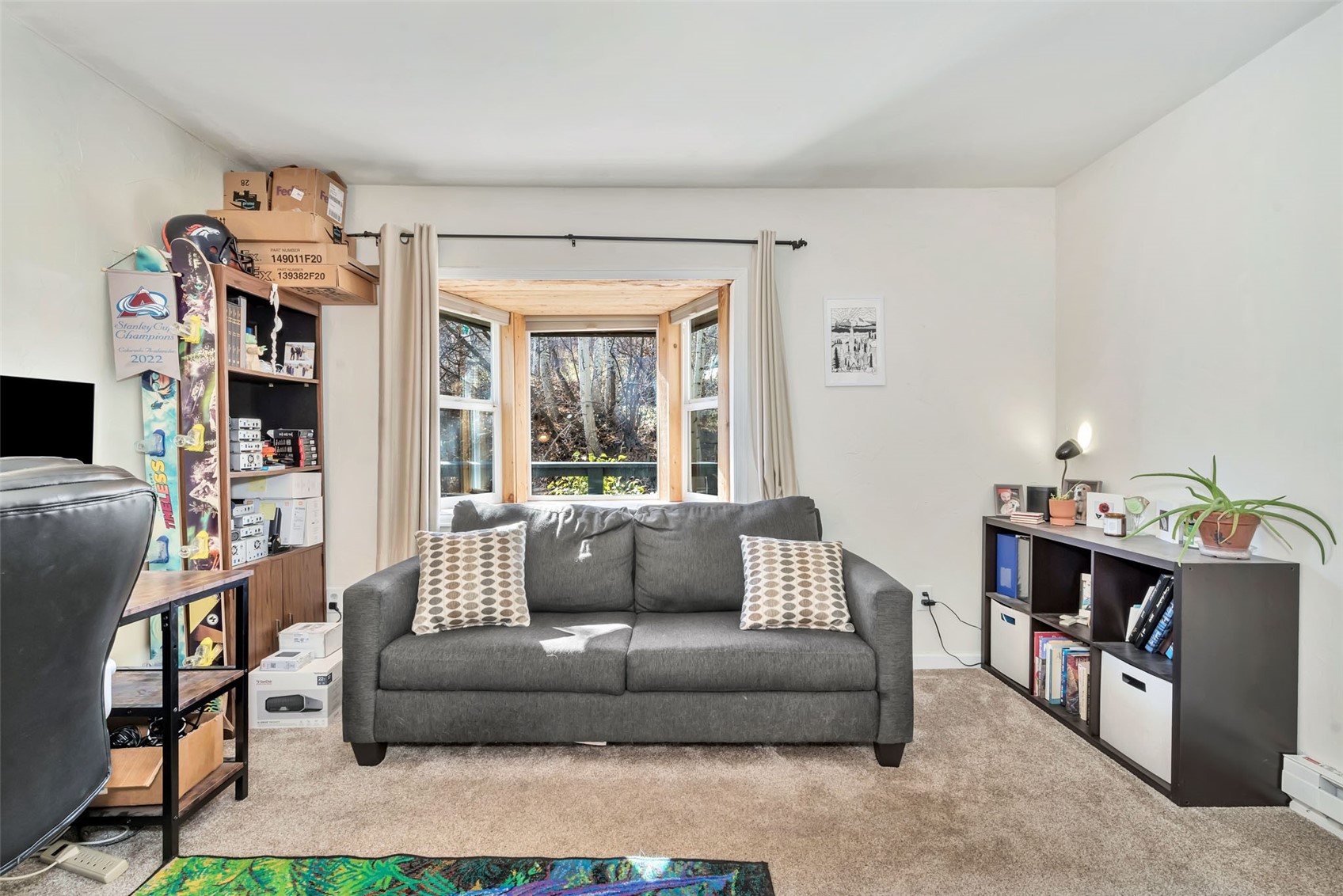 23035 Schussmark Trail Oak Creek CO 80467